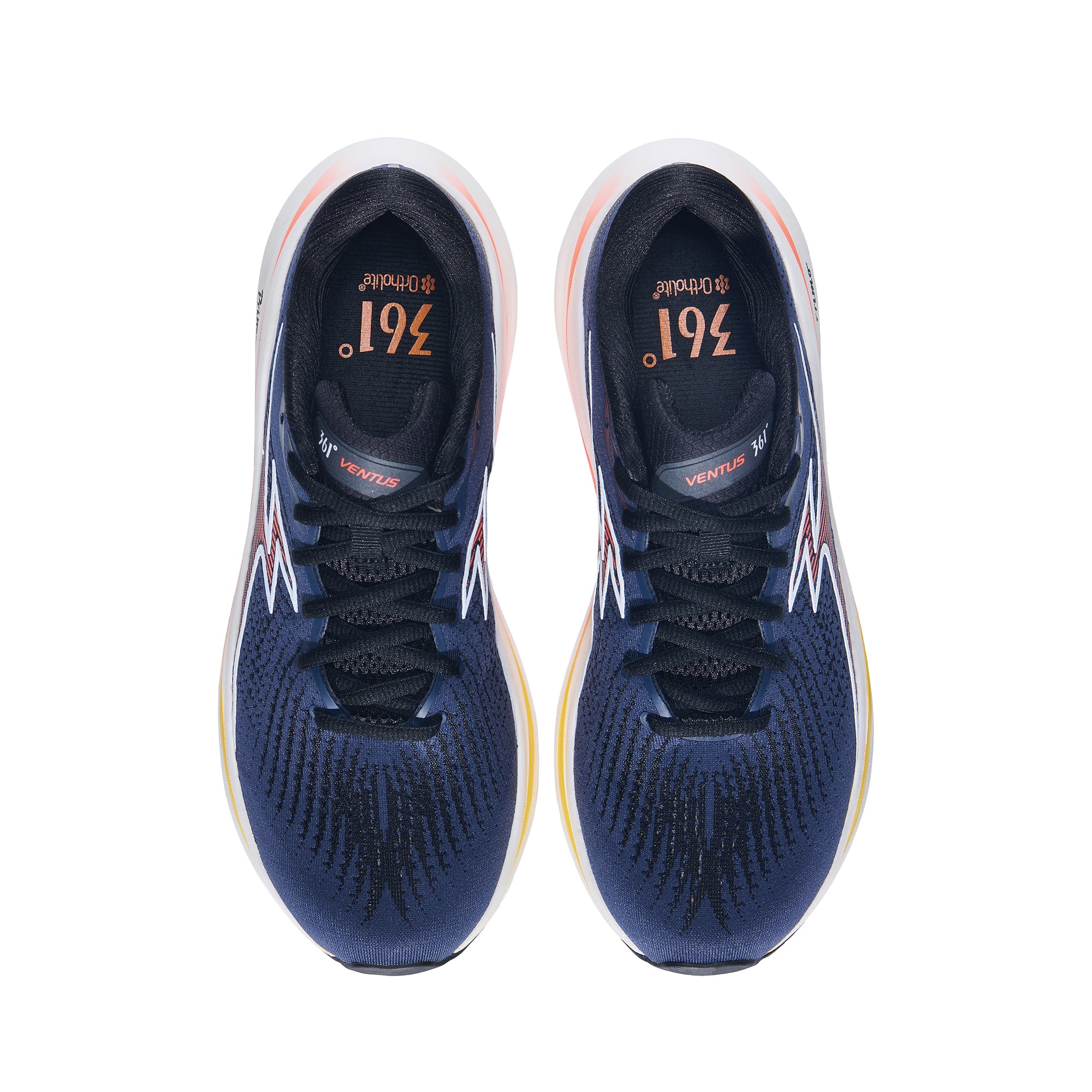 M 361-Ventus - Midnight/Honey