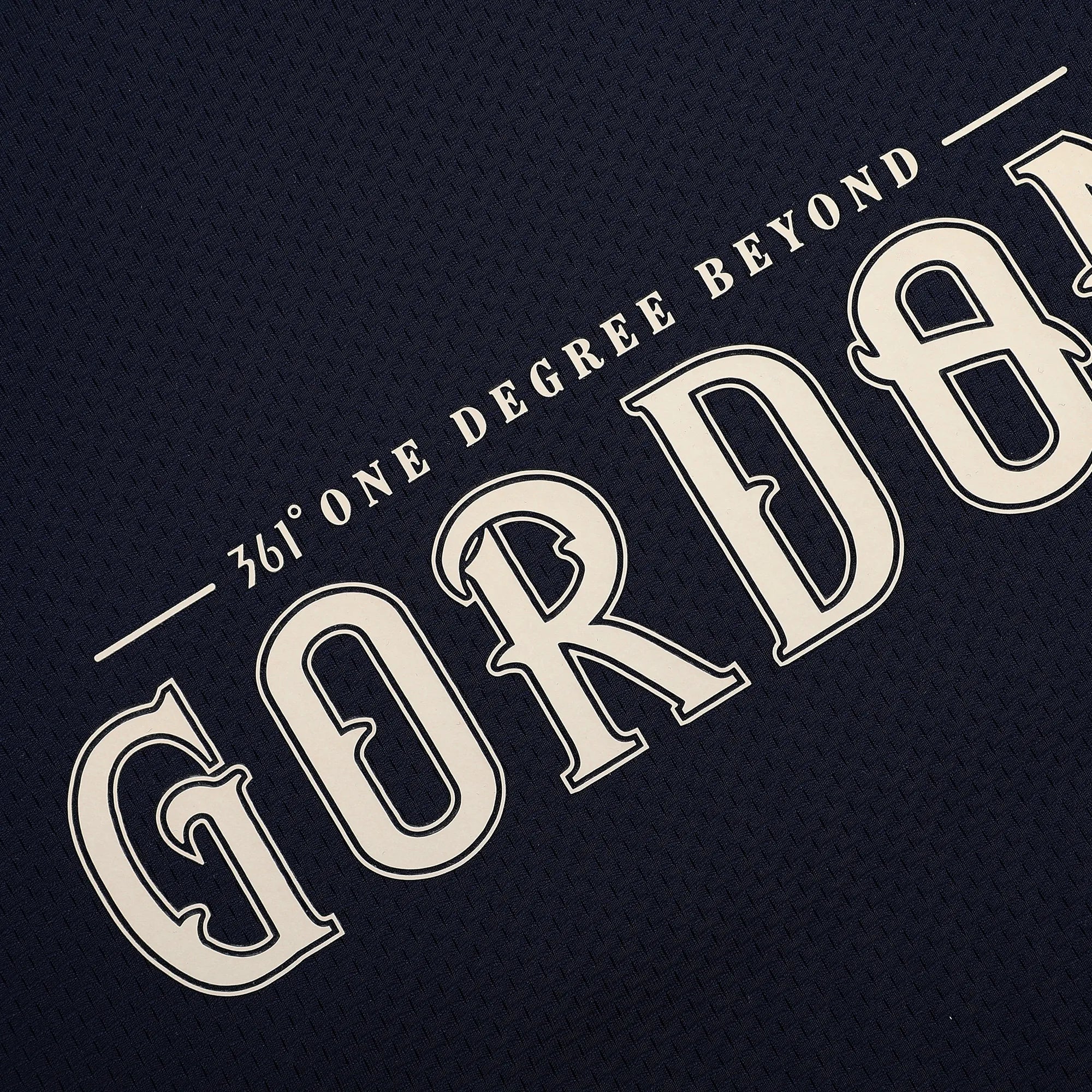 Aaron Gordon - Blue Sweater