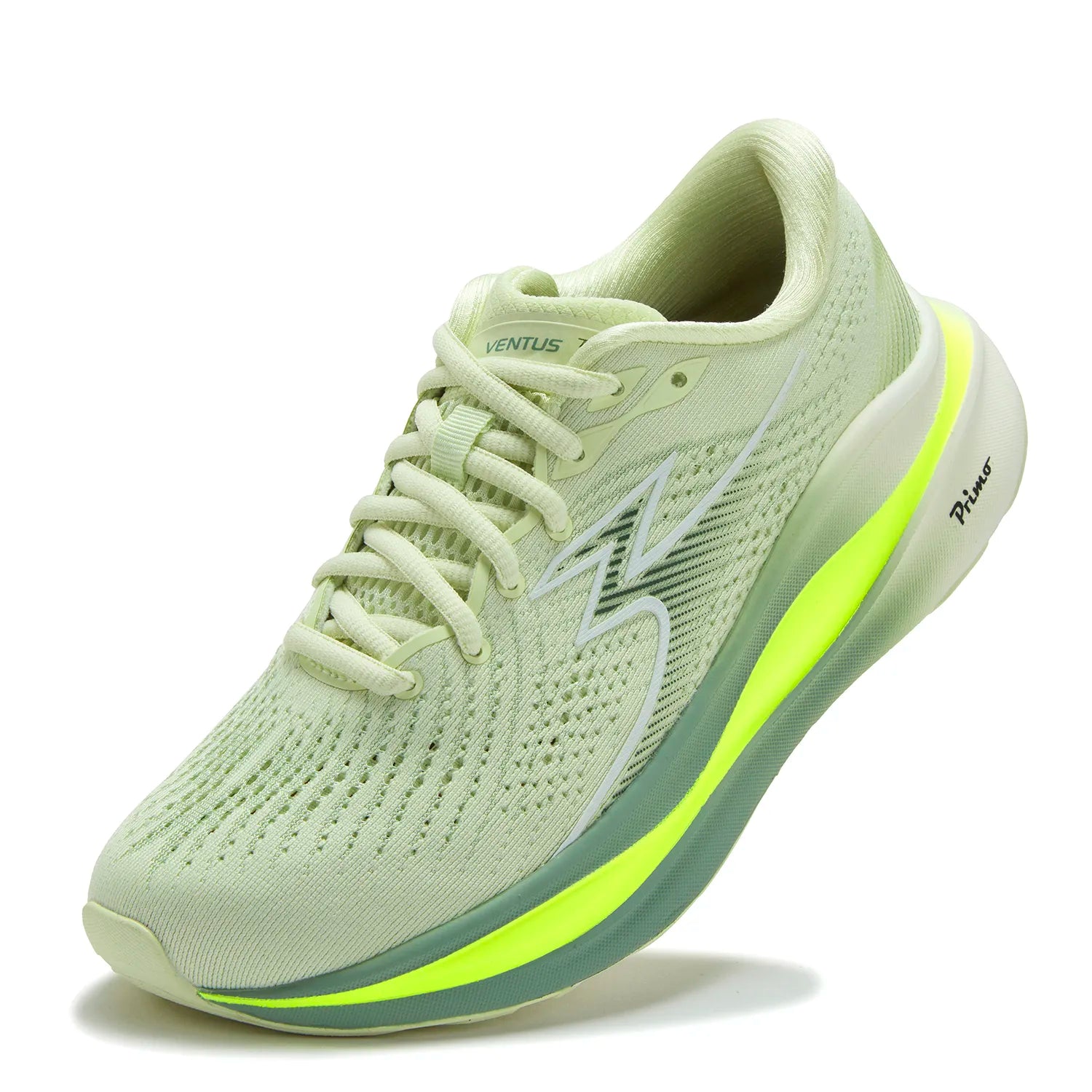 W 361-Ventus - Green/Cycas